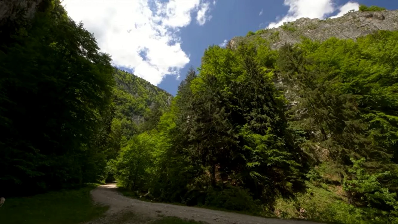 Catură timelapse: Mircea Vergheleţ