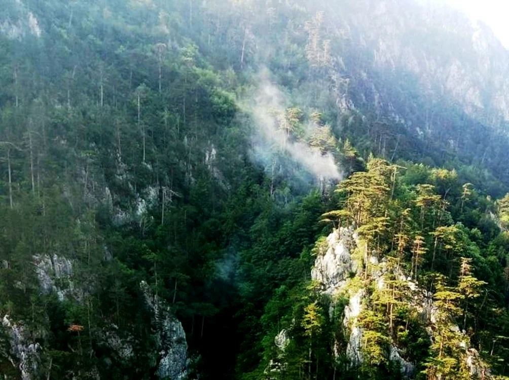 Foto ISU Caraş-Severin