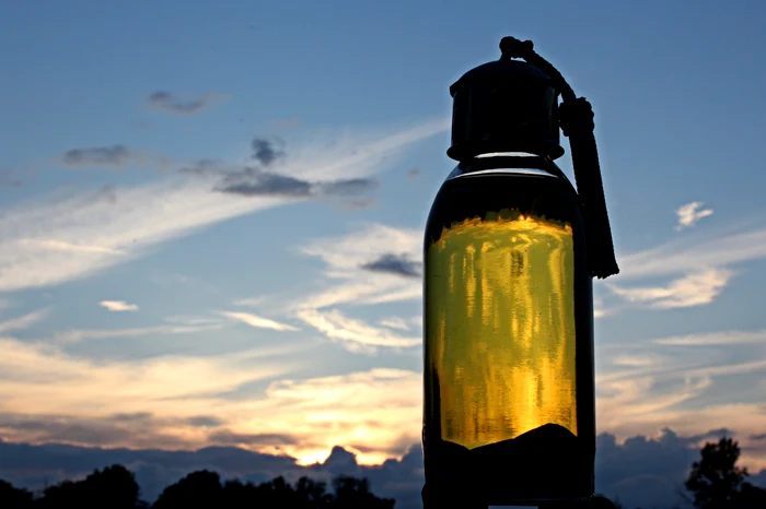 
    Uleiul de argan este supranumit "aurul Marocului"foto: Pixabay  