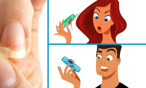 1 3 smoothie uri pentru rezistenta imunitate si frumusete 9nxu jpg jpeg