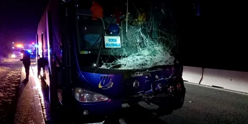 un taur a lovit un autocar pe dn1 Foto via Antena3.ro