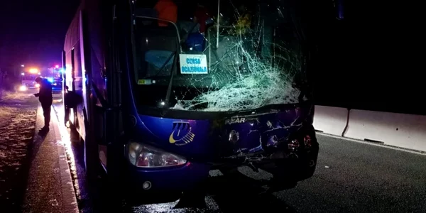 un taur a lovit un autocar pe dn1 Foto via Antena3.ro