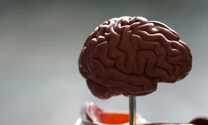 Ce nutrienți sunt esențiali pentru funcția cognitivă la adulți jpg