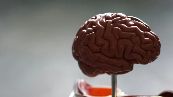 Fotografie de Robina Weermeijer pe Unsplash