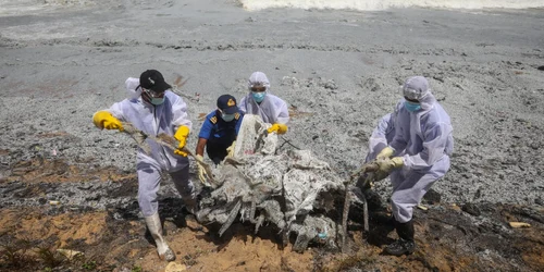 Militari în costume de protecţie curăţă plajele din Sri Lanka poluate cu petrol şi peleţi de plastic FOTO EPA—EFE / Chamila Karunarathne