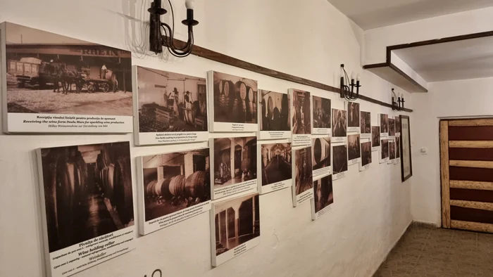 Istoria Pivnițelor Rhein în imagini FOTO: Ovidiu Oprea