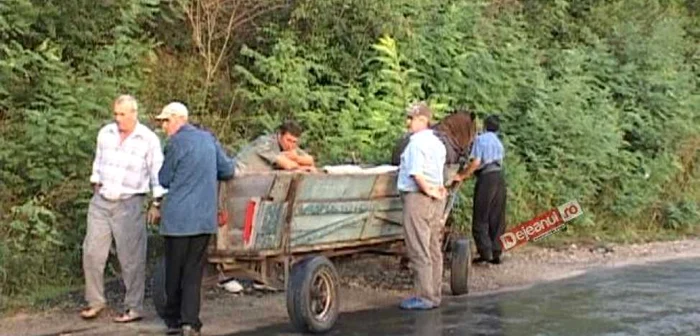 Căruţa în care se afla bătrânul   FOTO: dejeanul.ro