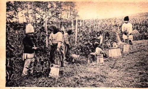 Ziua crucii  Cârstovul viilor jpeg