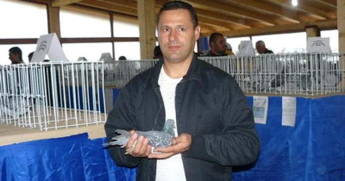 Târgu-Jiu: GALERIE FOTO / Columbofilii olteni expun porumbeii campioni la Târgu Jiu