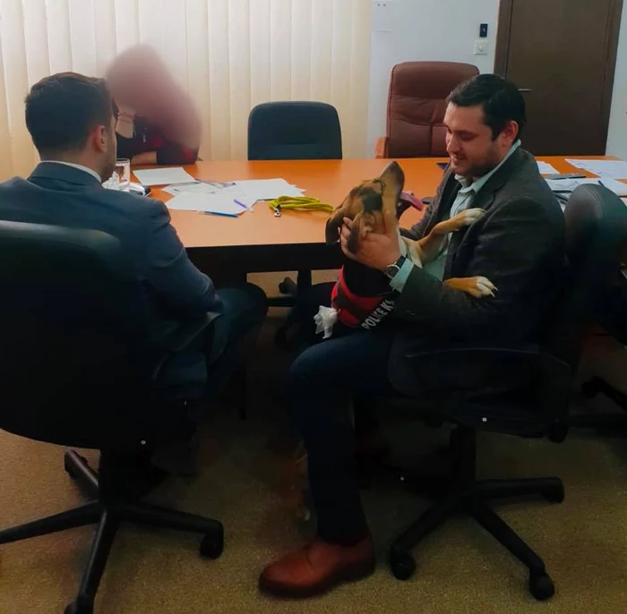 Câinele bătut de stăpână într-un tramvai din Bucureşti va fi dat spre adopţie