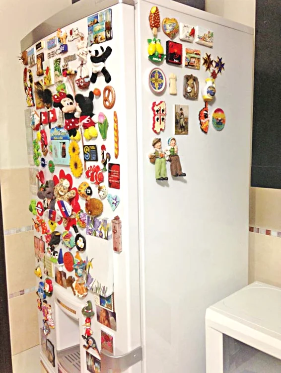 Frigiderul Alinei Sorescu