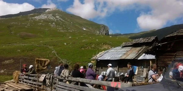 Măsuratul laptelui