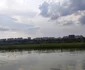 Insula din miljocul Dunării a înverzit FOTO: C. Mazilu