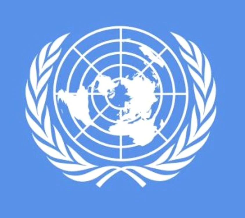 Logo ONU