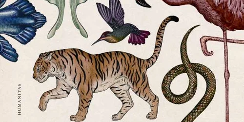 animalium