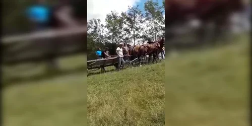 5b4edb66df52022f755b8558 jpg