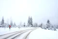 Poveste de iarnă FOTO Shutterstock jpg