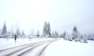 Poveste de iarnă FOTO Shutterstock jpg
