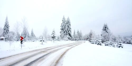 Poveste de iarnă FOTO Shutterstock jpg