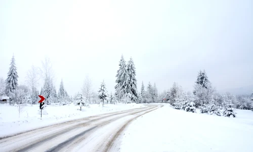 Poveste de iarnă FOTO Shutterstock jpg