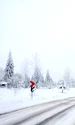Poveste de iarnă FOTO Shutterstock jpg