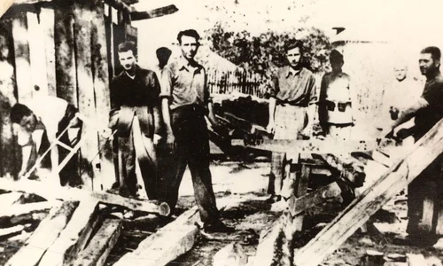 Un document oficial despre Lagărul de la Târgu Jiu jpeg