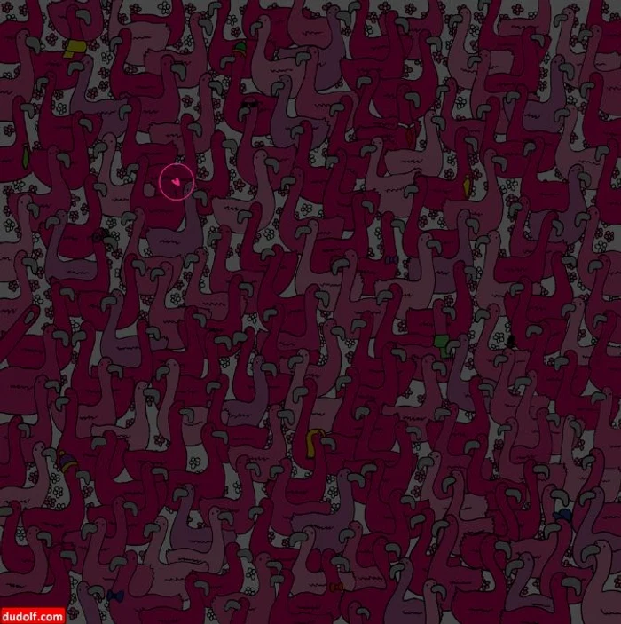 Rezolvarea provocării / foto: Dudolf