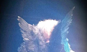 Solista a schimbat mai multe ţinute sexy la filmări jpeg