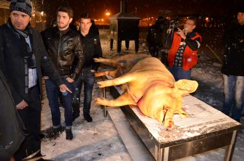 Pandurii au aniversat o jumătate de secol de la înfiinţare