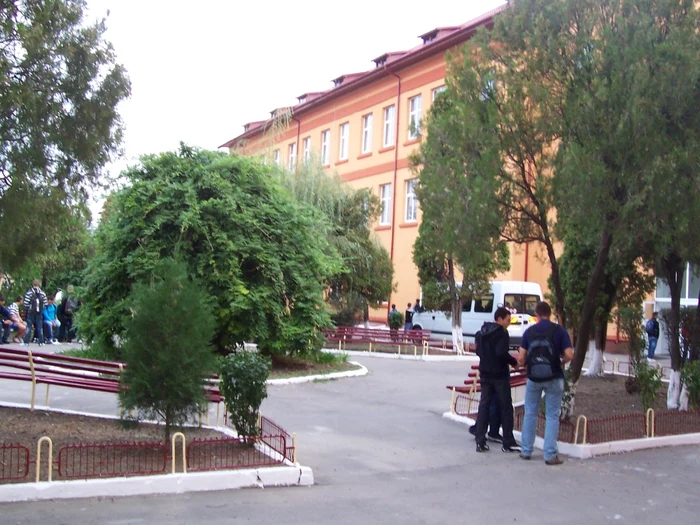 Arhivă