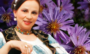 banner gherghina stancu jpg