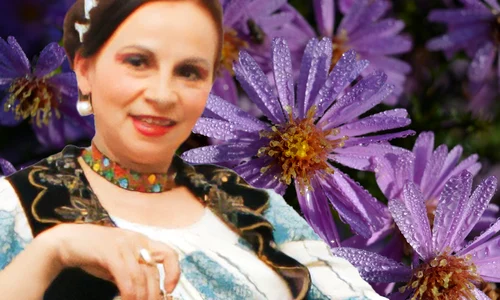 banner gherghina stancu jpg