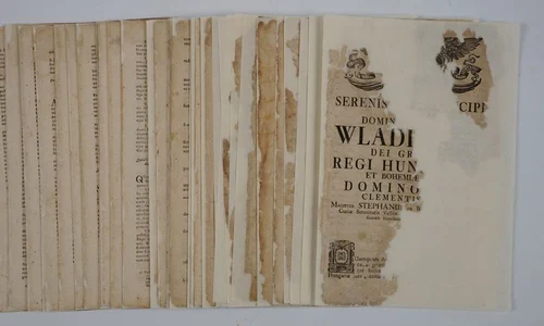 O carte din anul 1734, restaurată și publicată online de Muzeul Național al Banatului | FOTO jpeg