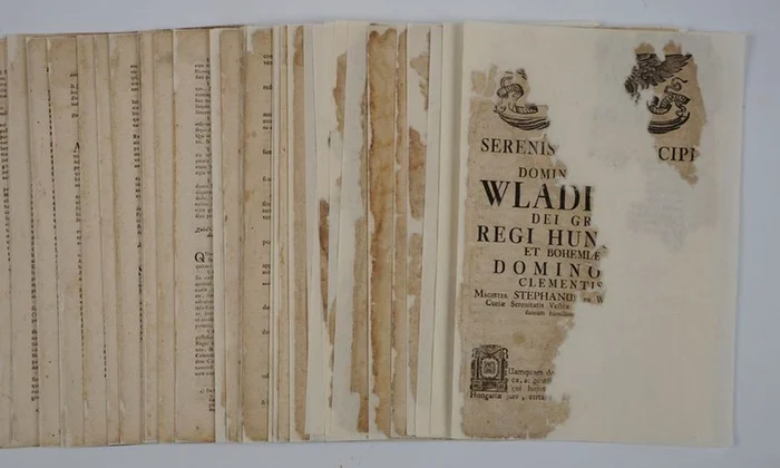 O carte din anul 1734, restaurată și publicată online de Muzeul Național al Banatului | FOTO jpeg
