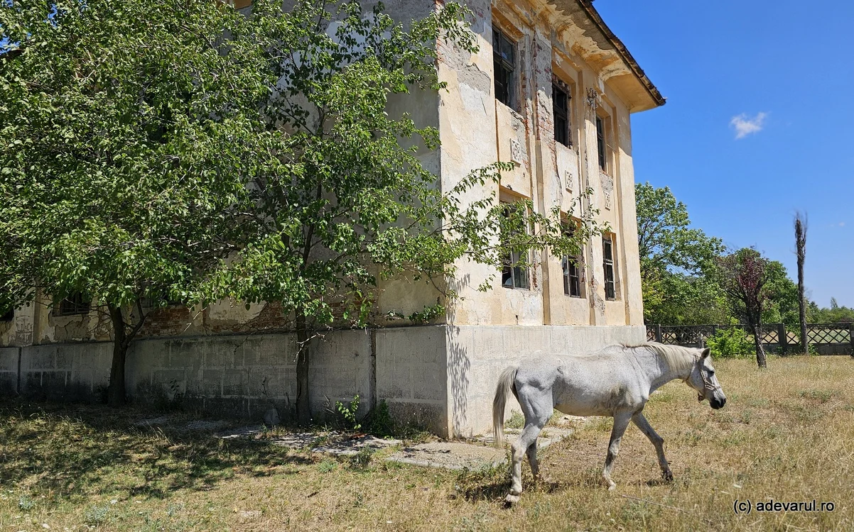 Cazarmă din Plenița. Foto: Daniel Guță. ADEVĂRUL