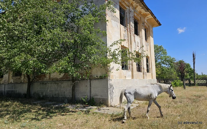 Cazarmă din Plenița. Foto: Daniel Guță. ADEVĂRUL
