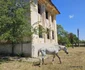Comuna Plenița  Foto Daniel Guță ADEVĂRIL (62) jpg