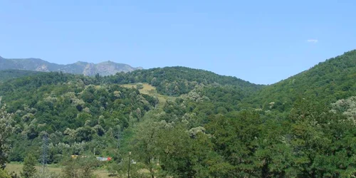 Oltenii veniţi la distracţie s-au luat la harţă