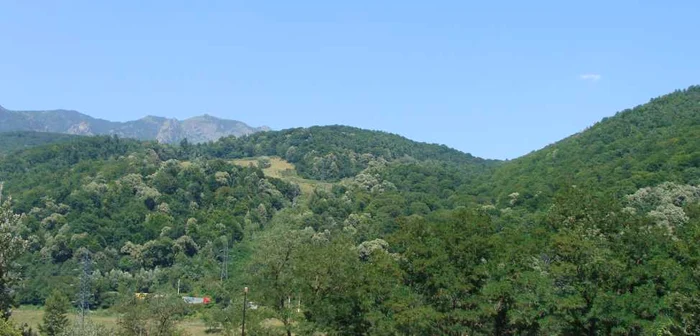 Oltenii veniţi la distracţie s-au luat la harţă