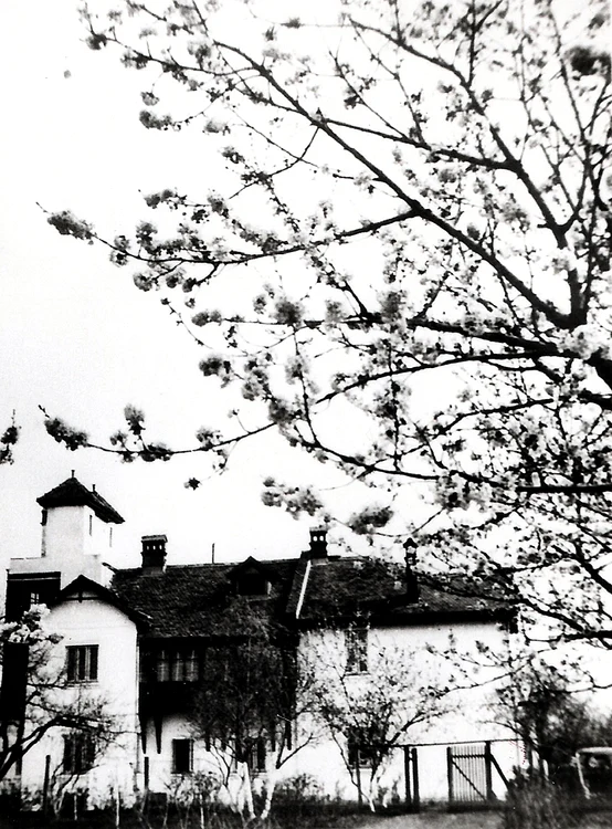 calarasi Paraschiva iubirea lui Tudor Arghezi FOTO MNLR