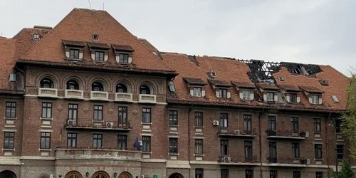 hotel triumf