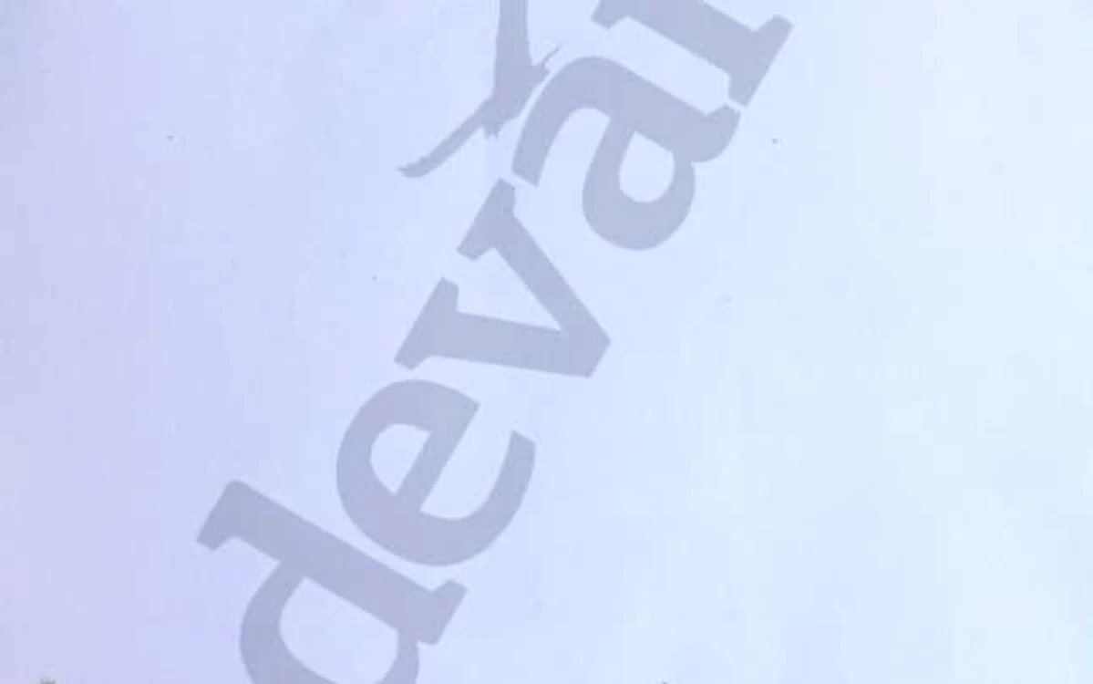 BAC 3