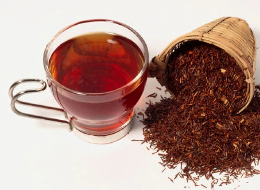 Rooibos