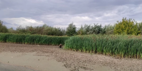 Om al străzii salvat din nămolul râului Olt în Râmnicu Vâlcea Foto Adevărul