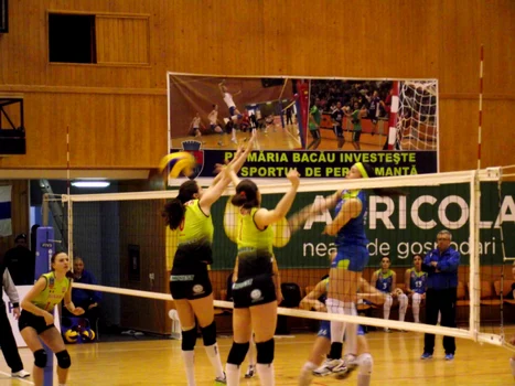 volei