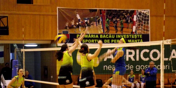 volei 