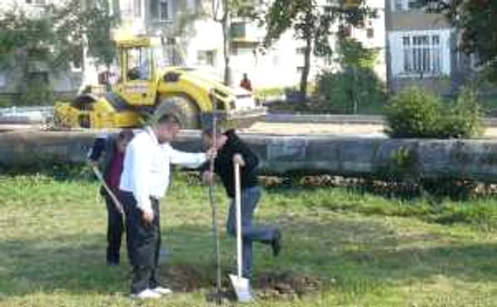 Funcționarii din primărie au trecut la munca fizică