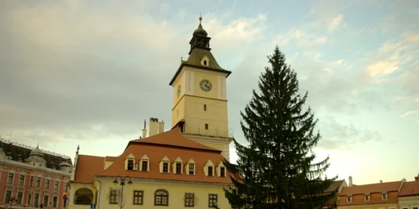 brasov brad
