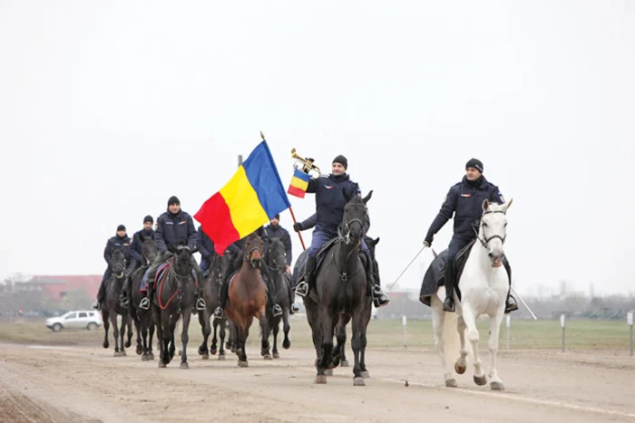 Caii Jandarmeriei au fost struniți perfect