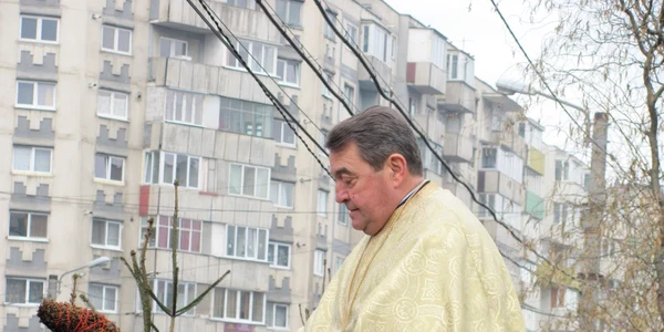 boboteaza cluj